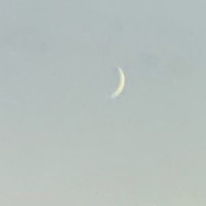 Meet your Posher, Moon